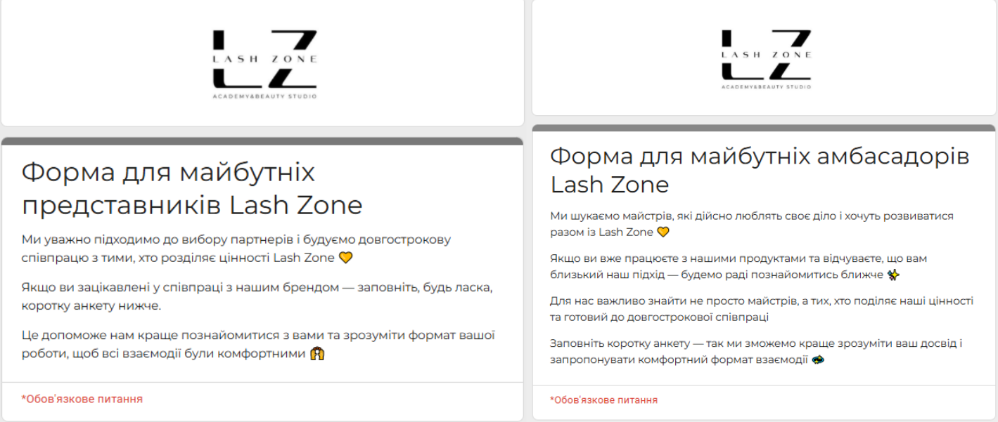 анкета для амбасадора брендаGoogle форма для партнёров бренда